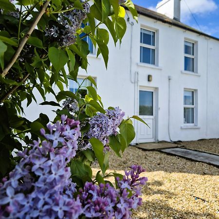 The Alpaca Farmhouse With Hot Tub And Alpaca Experience Included Dromara 外观 照片