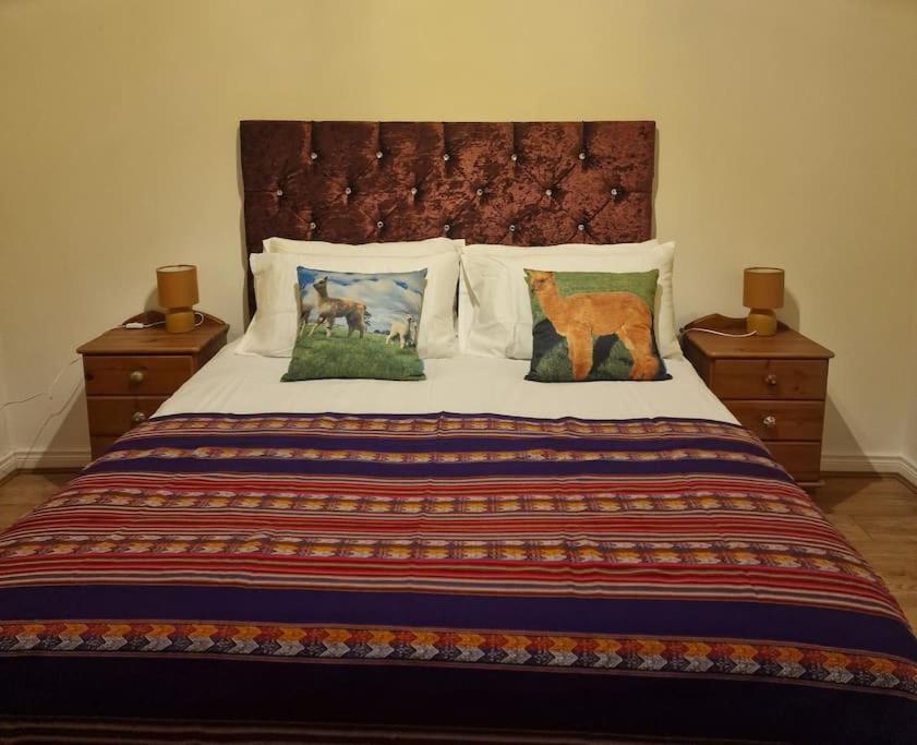 The Alpaca Farmhouse With Hot Tub And Alpaca Experience Included Dromara 外观 照片